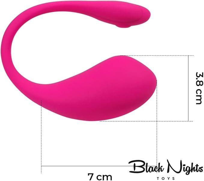 9 Modes Wireless Panty Vibrator For Women