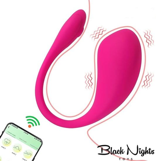 9 Modes Wireless Panty Vibrator For Women