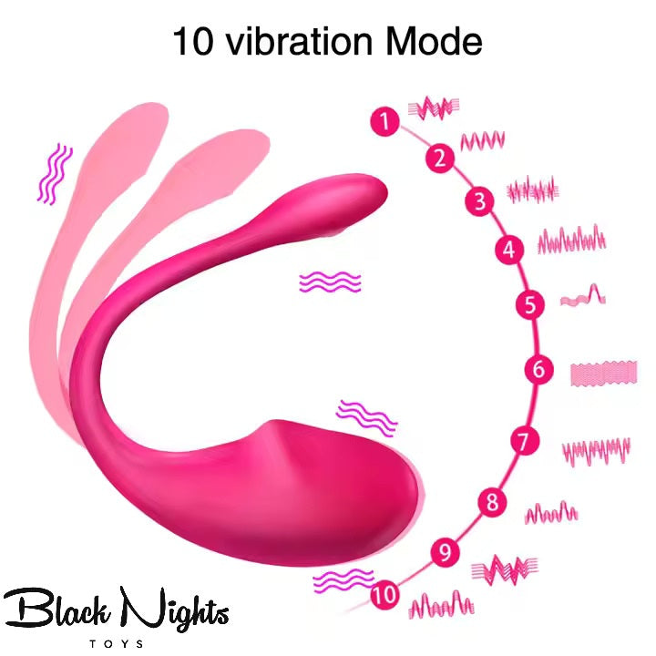 9 Modes Wireless Panty Vibrator For Women